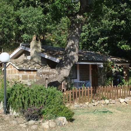Azienda Agricola Biologica La Cardellina Tolfa Luaran gambar