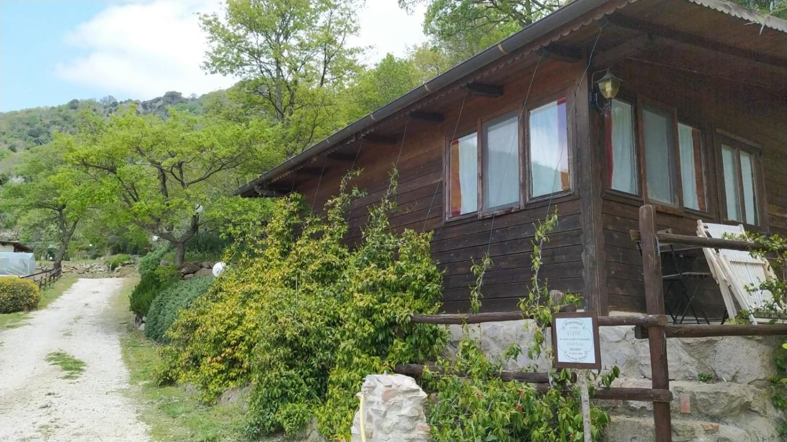 Azienda Agricola Biologica La Cardellina Tolfa Luaran gambar