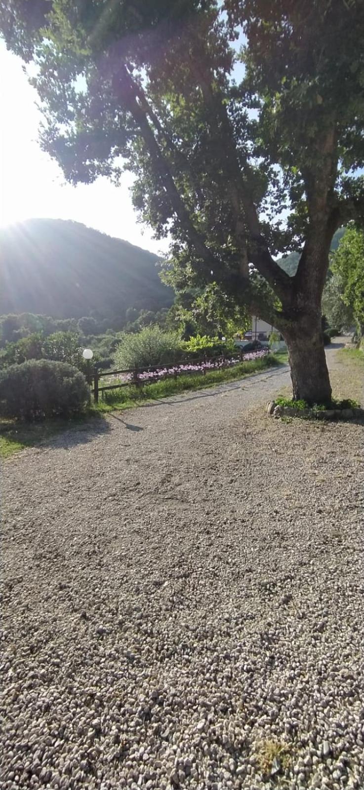 Azienda Agricola Biologica La Cardellina Tolfa Luaran gambar