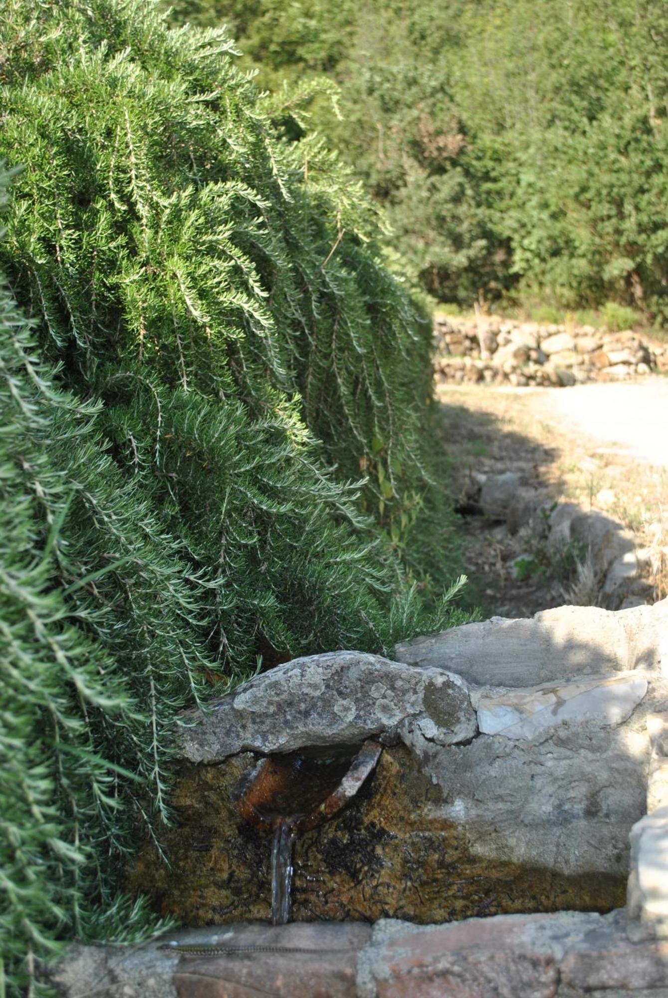 Azienda Agricola Biologica La Cardellina Tolfa Luaran gambar