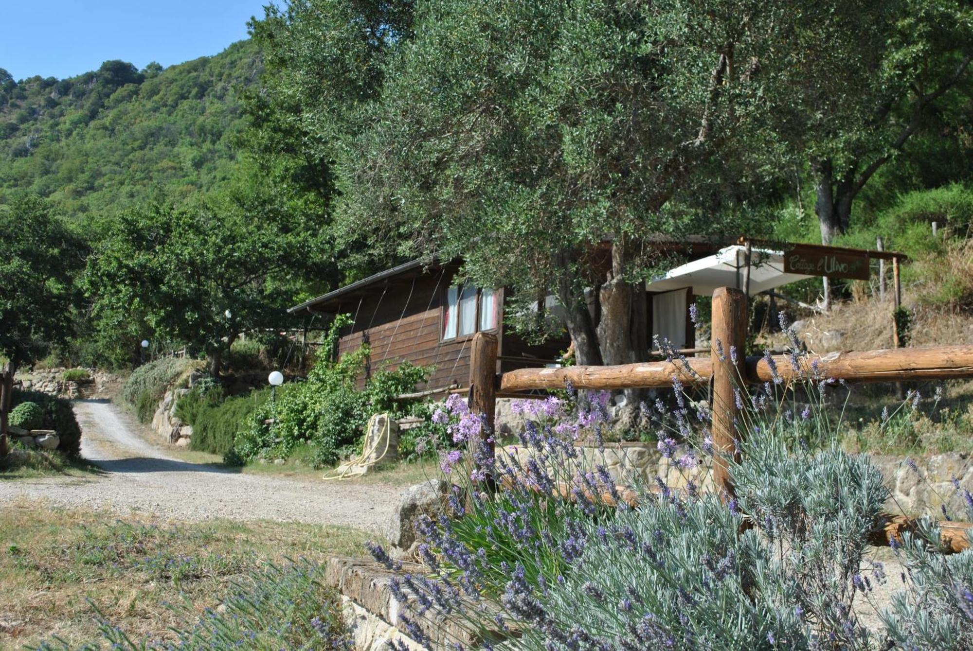 Azienda Agricola Biologica La Cardellina Tolfa Luaran gambar