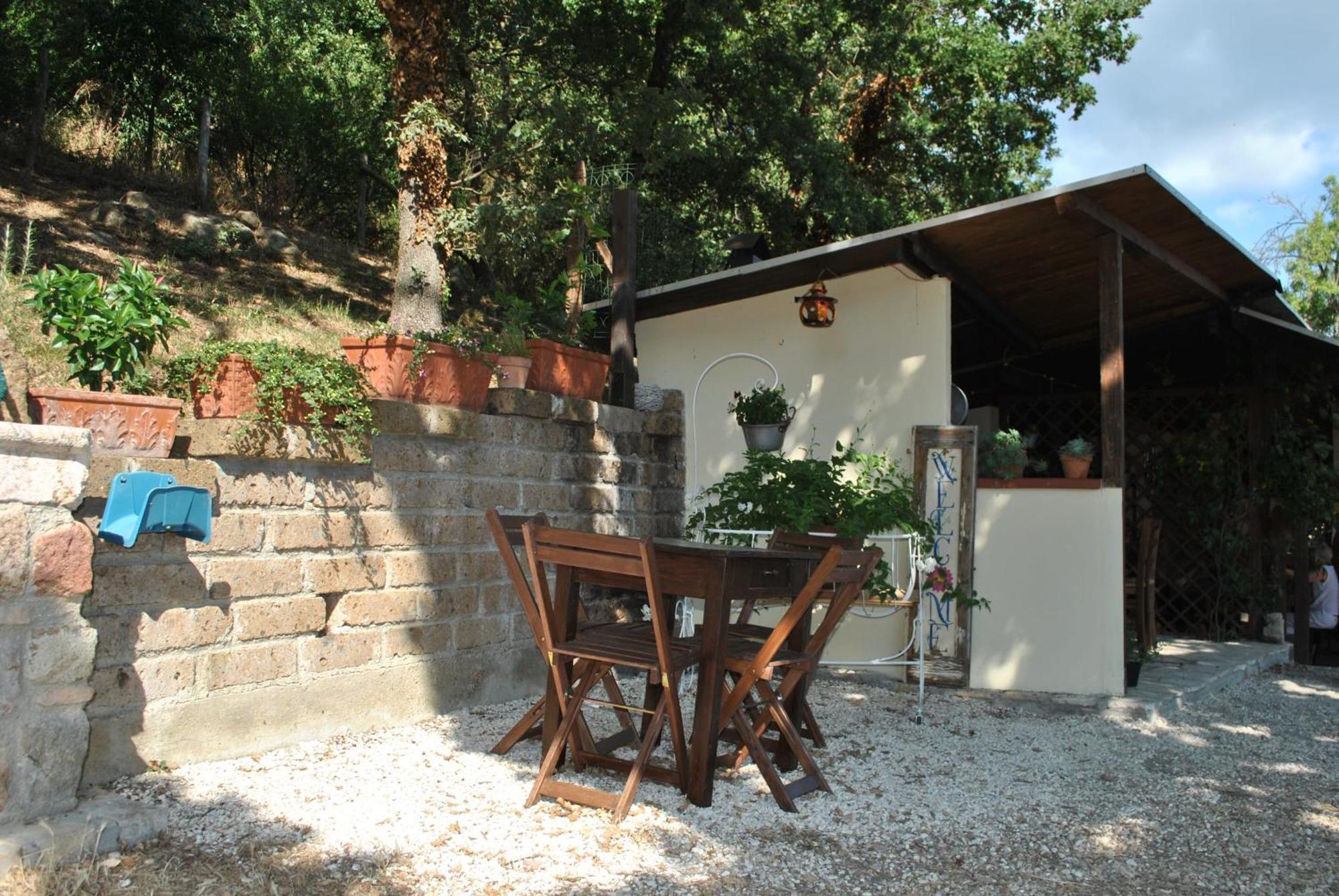 Azienda Agricola Biologica La Cardellina Tolfa Luaran gambar