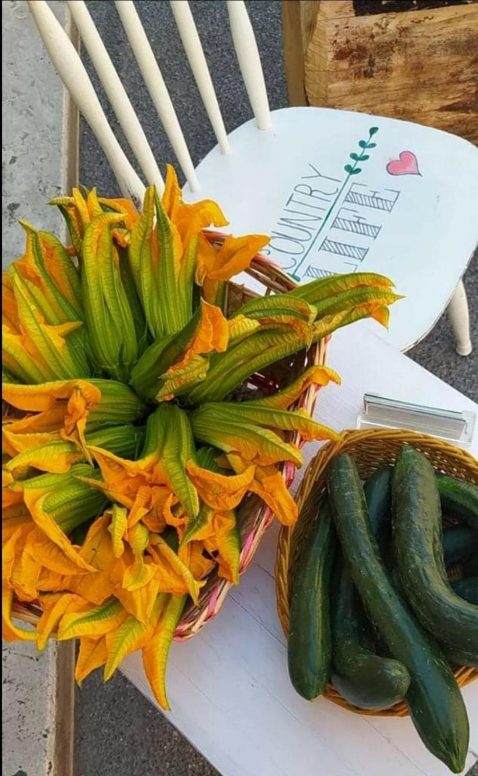 Azienda Agricola Biologica La Cardellina Tolfa Luaran gambar