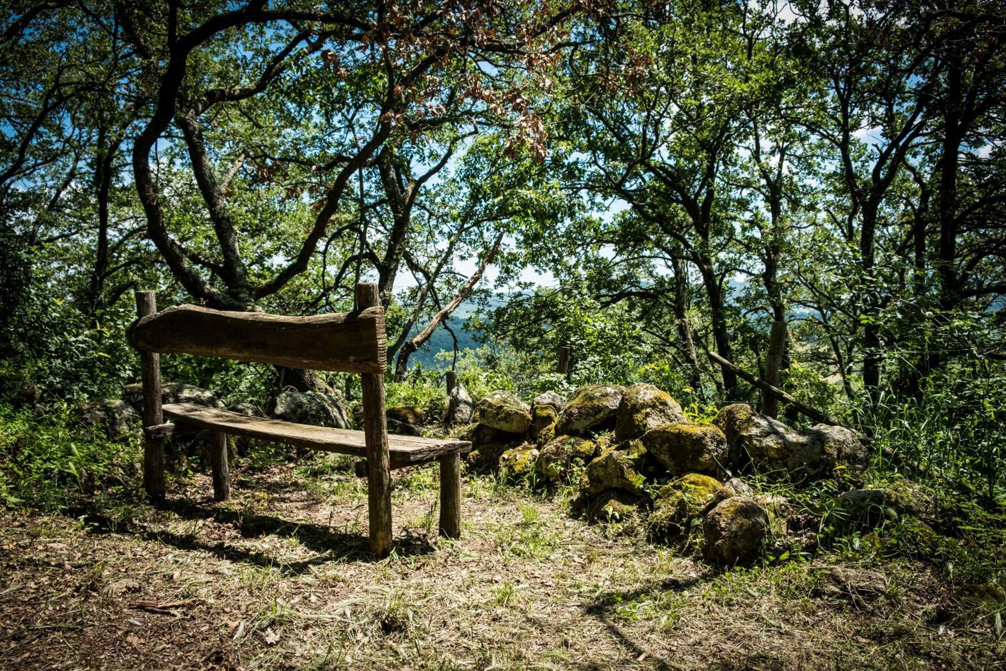 Azienda Agricola Biologica La Cardellina Tolfa Luaran gambar
