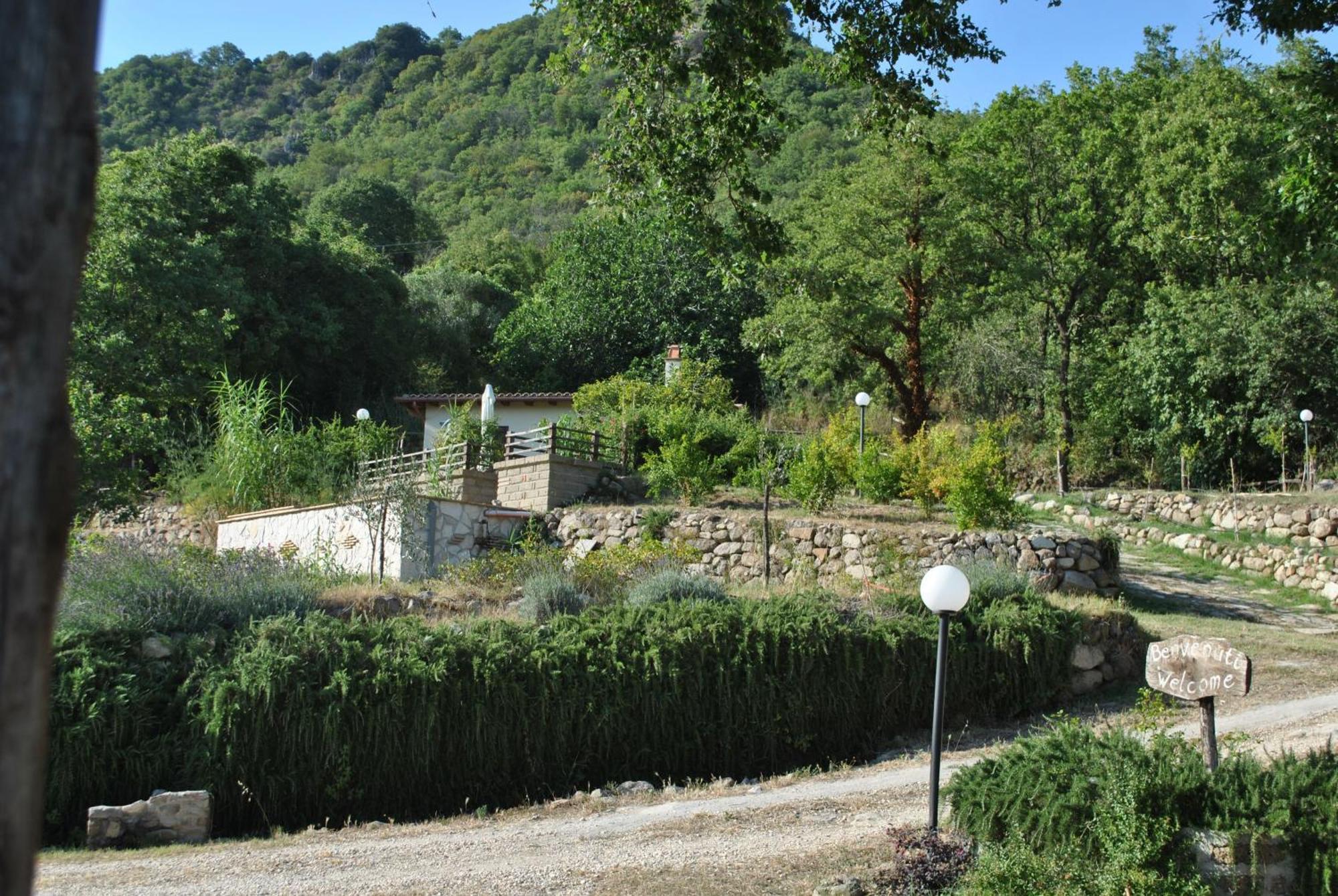 Azienda Agricola Biologica La Cardellina Tolfa Luaran gambar
