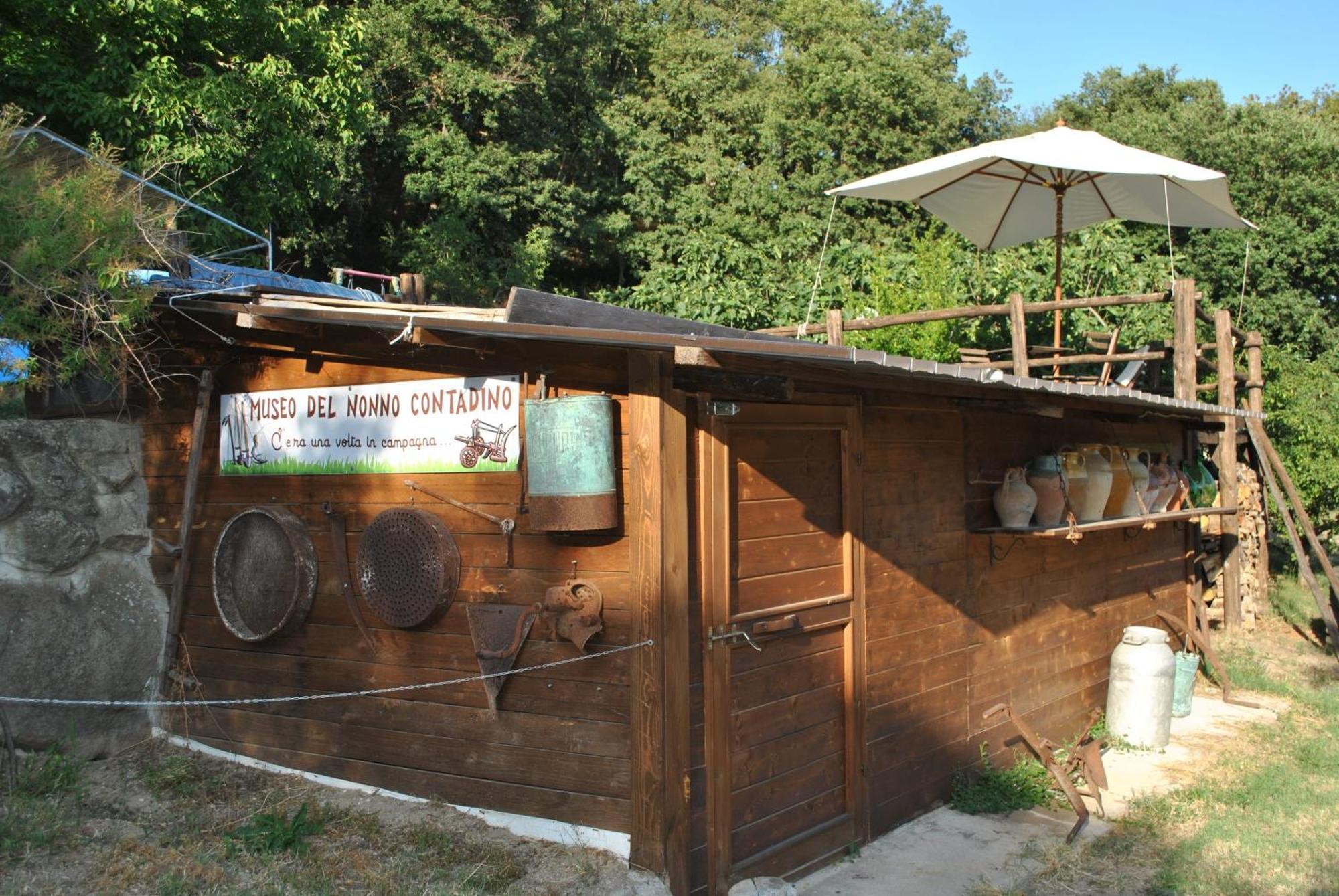Azienda Agricola Biologica La Cardellina Tolfa Luaran gambar
