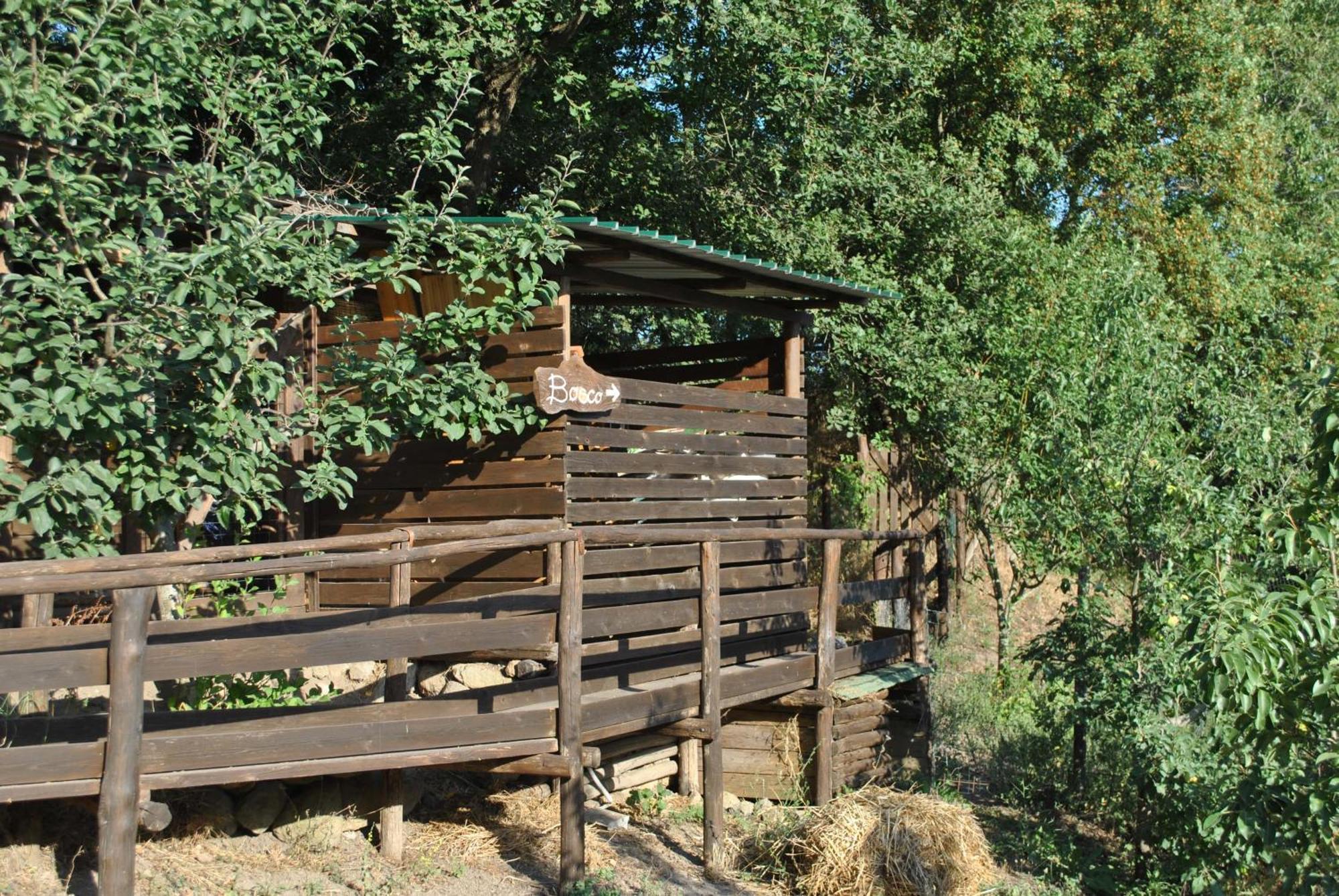 Azienda Agricola Biologica La Cardellina Tolfa Luaran gambar